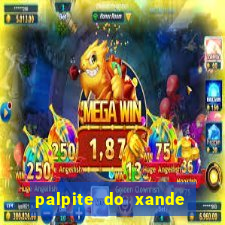 palpite do xande de hoje