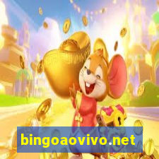 bingoaovivo.net